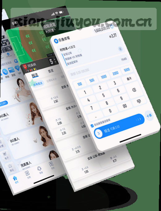 实时比分更新，赛程一览无余。